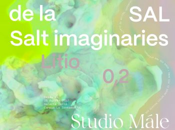 Inauguración Studio Mále IMAGINARIOS DE LA SAL -Galería Gallo-