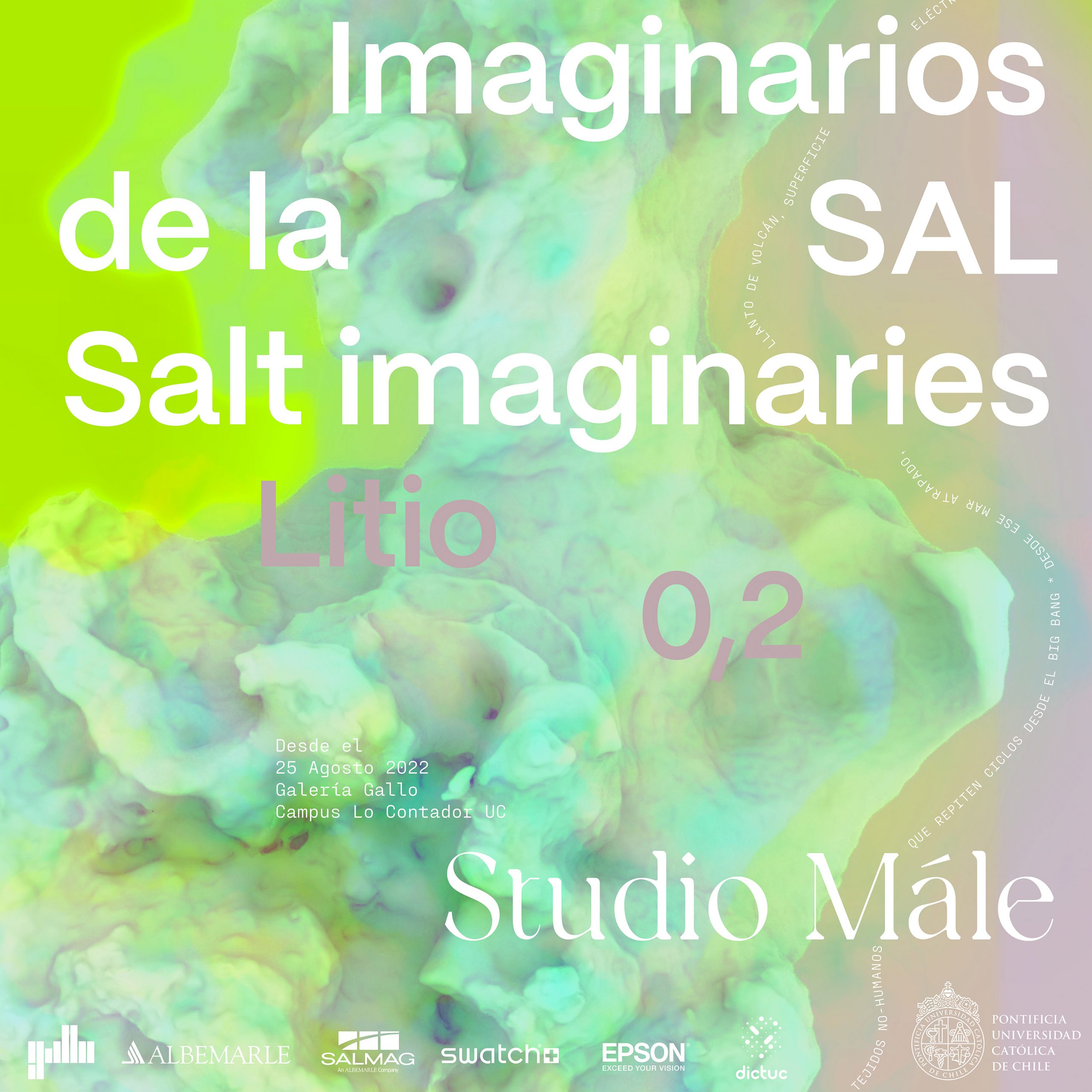 Inauguración | Studio Mále: IMAGINARIOS DE LA SAL -Galería Gallo-