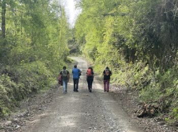 Estudiantes del IEUT hacen salida exploratoria a la cuenca de las ciudades intermedias de Villarrica y Pucón.