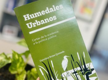 Profesora Carolina Rojas lanza libro “Humedales Urbanos: cartas de la academia a la política pública”