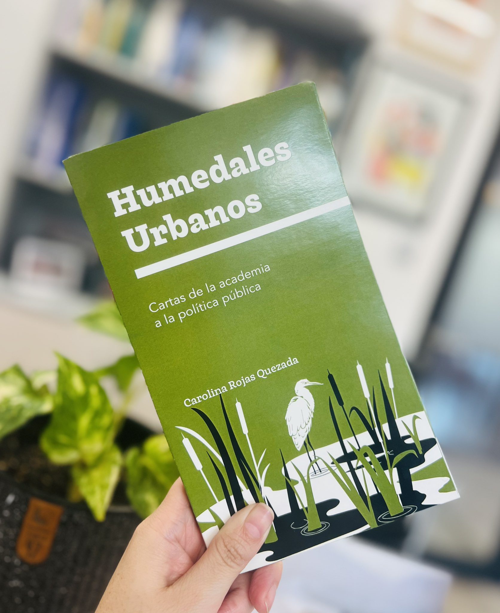 Profesora Carolina Rojas lanza libro “Humedales Urbanos: cartas de la academia a la política pública”