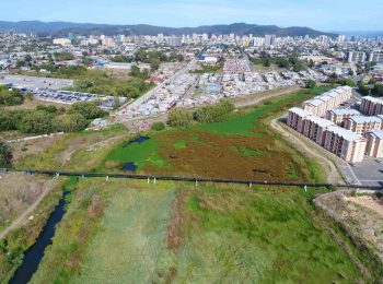 Accesibilidad y valor percibido de humedales urbanos y parques de humedales: soluciones basadas en la naturaleza para la sustentabilidad de ciudades costeras