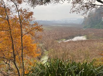 El Mercurio | La importancia de los humedales como guardianes de la biodiversidad. Comenta Carolina Rojas