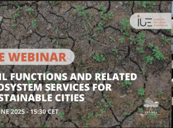 Suelo y servicios ecosistémicos: claves para la planificación urbana sostenible en el contexto global