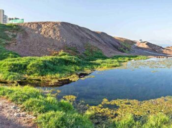 Humedales y biodiversidad: los aportes de Chile en la COP15 Ramsar