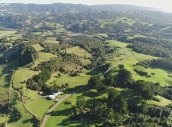 «Lo rural es fundamental para la sustentabilidad del país», Arturo Orellana en radio Agricultura