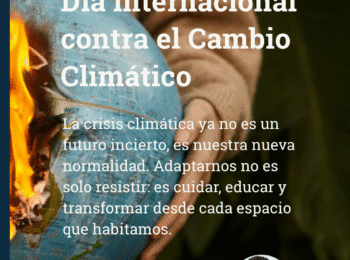 Escuelas frente a la crisis climática: espacios esenciales para educar con el ejemplo en sostenibilidad