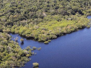 Carolina Rojas sobre COP30, justicia climática y financiamiento en El Mercurio