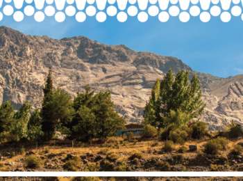 Estudio interdisciplinario revela carencias de candidatos en materia ambiental