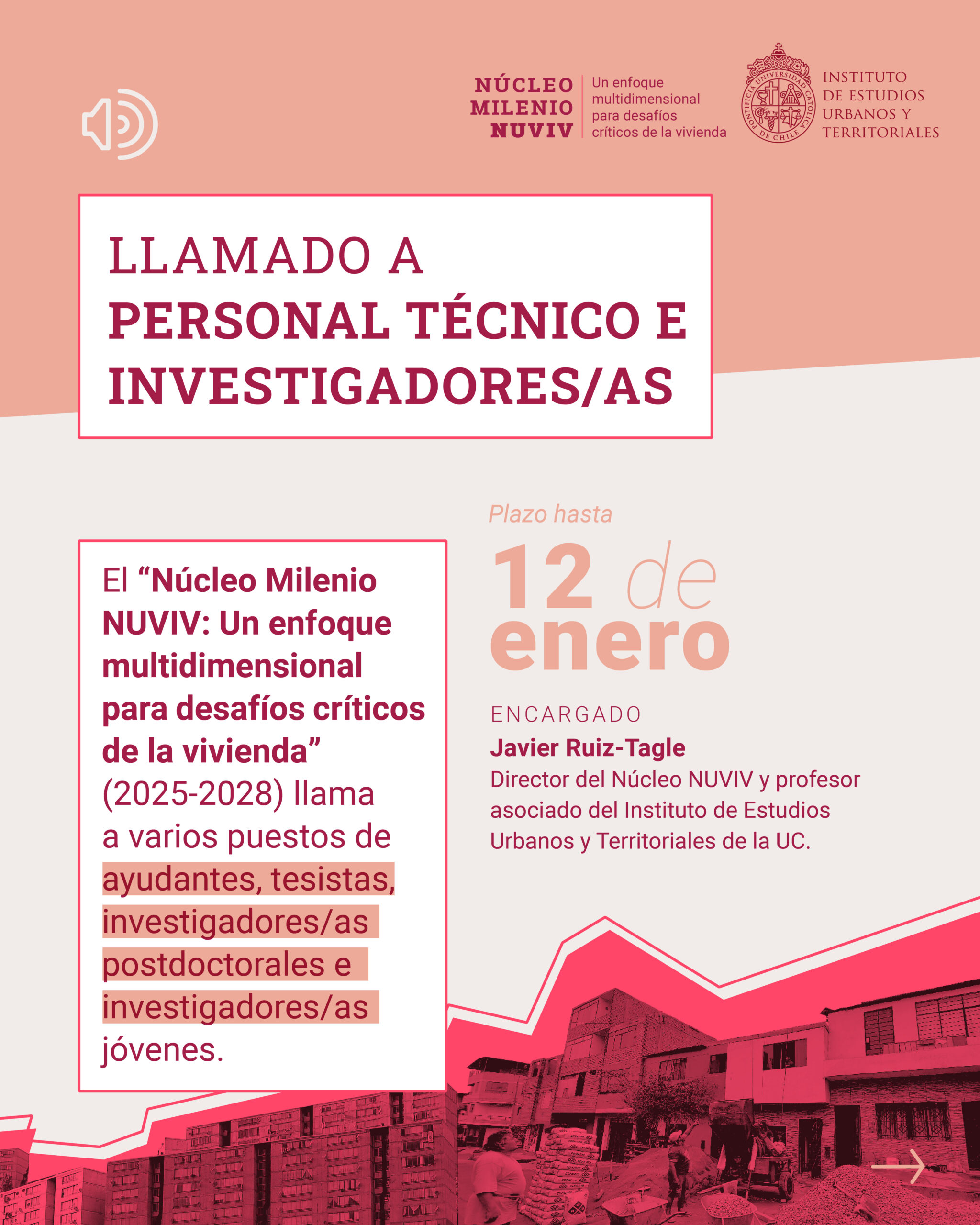 NÚCLEO MILENIO NUVIV: LLAMADO A PERSONAL TÉCNICO E INVESTIGADORES/AS