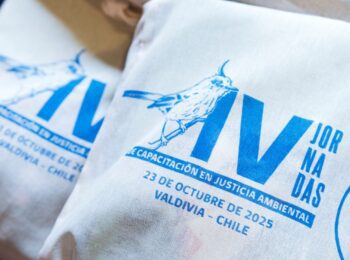 Profesor Kay Bergamini expone en la IV Jornada de Capacitación en Justicia Ambiental realizada en Valdivia