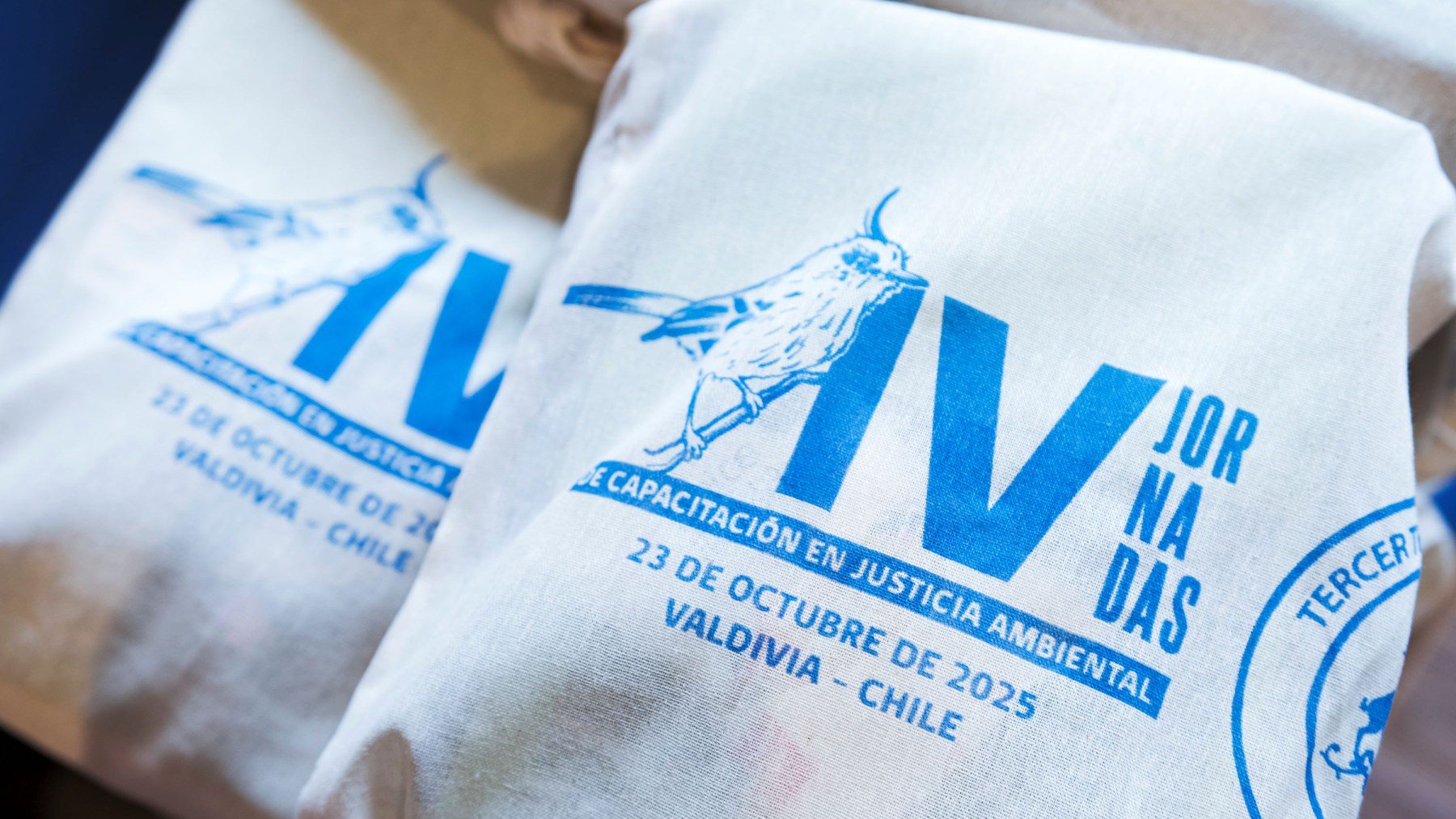 Profesor Kay Bergamini expone en la IV Jornada de Capacitación en Justicia Ambiental realizada en Valdivia