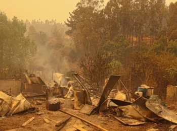 Catástrofe en el sur y la ruralidad en riesgo. José Luis Romero en Biobío Chile