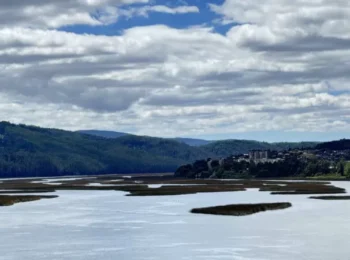 Carolina Rojas propone transformar las ciudades para capturar agua de lluvias extremas / El Mercurio
